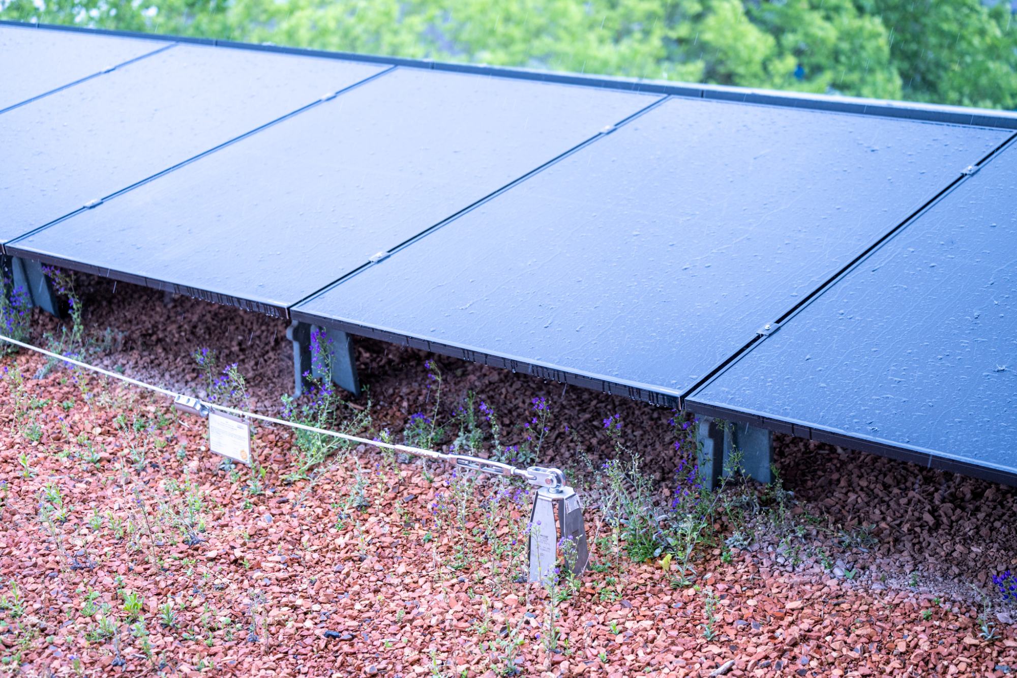 Kombiniert: Auf dem Dach treffen Photovoltaik und Begrünung zusammen. Solarmarkt nutzt dafür ein eigenes Montagesystem, das die Module auf dem Gründach trägt und gleichzeitig die Dachfläche für Retention und Biodiversität nutzbar lässt.